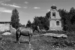 Август в Друе / Беларусь