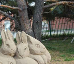 Особый взгляд / Скульптура из песка в осеннем сосновом бору на берегу Обского моря.