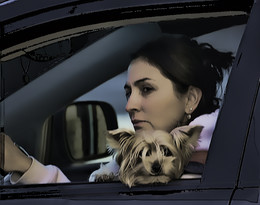 Особый взгляд / Незнакомая дама с незнакомой собачкой