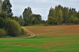 В последних числах сентября .. / Дорога домой ...