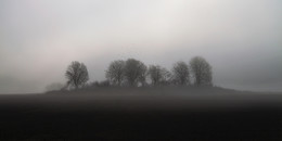 В туманной тишине / Canon EOS 5D MII