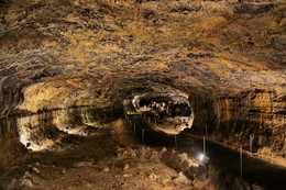 Золотая&quot; пещера. / Халим парк (Hallim Park Jeju)