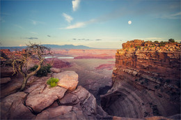 &nbsp; / Dead Horse point state park. Парк Мертвой лошади называется так, потому что в начале 20-го века на плато паслись стада мустангов и ковбои использовали эти это место в качестве естественной ловушки. Они загоняли сюда мустангов и перегораживали узкий, десятиметровый перешеек, ведущий на плато, высокой изгородью. Потом, выбрав и заарканив лучших скакунов, оставшихся лошадей выпускали и мустанги уходили на свободу. Но однажды, по какой-то причине лошади остались в загоне и не имея возможности спуститься к реке на водопой, бедные животные погибли от жажды.