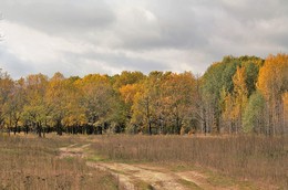 Осень постучалась в двери / У осени свои краски.