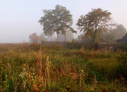 Осень постучалась в двери / Осени легкие шаги. Сентябрь в деревне Красницы. Туман,утро.