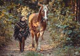 Осень постучалась в двери / Задушевный разговор девочки Анюты с лошадью Фоксом в солнечном осеннем лесу.