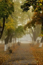 Осень постучалась в двери / Владимир. Осень в парке Пушкина 
Засентябрило за окном…И что же?
Я наслаждаюсь этим днем погожим.