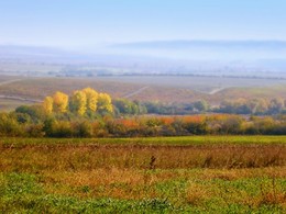 &nbsp; / Болгарская осень