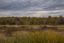 Осень / ***