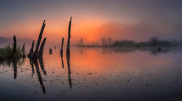 Туманное утро на безымянном озере. / ***