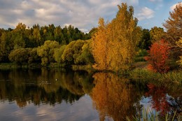 Осень в Покровское-Стрешнево / Москва. Парк Покровское-Стрешнево
