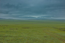 Перед дождем / Монголия в пасмурную погоду