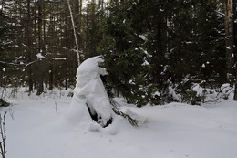 ПРИРОДА-ЛУЧШИЙ ХУДОЖНИК / ИЩУ В ЛЕСУ КУЧКИ СНЕГА, НАМЕТЕННЫЕ НА ЕЛИ. ЧТОБЫ ОНИ БЫЛИ ПОХОЖИЕ НА ЧЕЛОВЕЧЕСКИЕ СКУЛЬПТУРЫ , НА ЗВЕРЮШЕК, ИЛИ СКАЗОЧНЫХ ГЕРОЕВ. ЧЕЛ. ГОЛОВА СМОТРИТ НАЛЕВО.