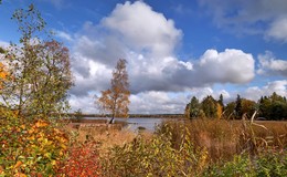 Осенний день. / ***