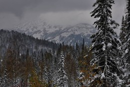 Первый осенний снег / Хребет Тигер -Тыш, Аскизский район Республики Хакасия