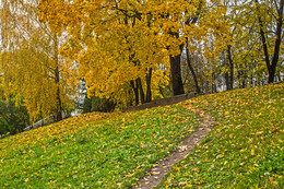 Тропинка в осень. / Полоцк.