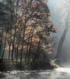 Утром осенним....... / Осиновая Роща. Октябрь