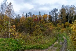 Краски осени / Осень в Сибири