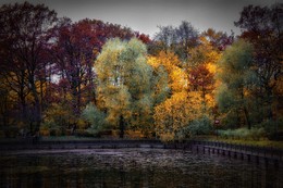 Осень на пруду в парке. / Сокольники.