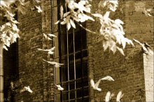 Свобода? / Полёт или решётки?