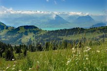Альпийская картинка / Все альпийские летние пейзажи похожи друг на друга... И все по-своему хороши:)