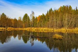 осенняя фоточка 43 / Деревня Лесное, 15 октября 2017 года от Р. Х.