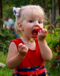Жажда лета / Ягодки просятся в рот. Внучка подруги собирает и ест красную смородину,очень ей понравились эти ягодки.