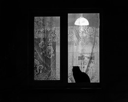 окно в мир V / Деревня Лесное, 20 октября 2017 года от Р. Х.