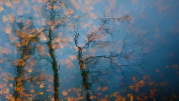 .. октябрь .. / отражение осенних деревьев в воде.