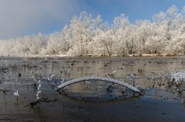 Пшеха зимой (2) / Пшеха, февраль 2017.