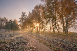 Первые лучи туманного утра / Конец октября, Дрозды, Минск. Один из немногих дних с отличной погодой