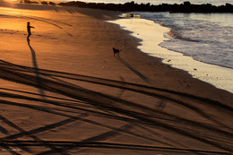 Утренний моцион / Рано утром на пляже