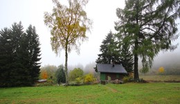 Лесника одинокая березка / Летний домик лесника скоро окутает туман