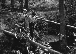 &nbsp; / 1982 велосипед дети река Спорня