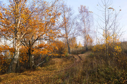 Осенняя грустинка / Под Глубоково, что на Клязме