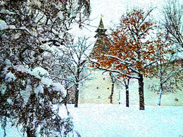Зима пришла под конец февраля / Астрахань. Снежный февральский день. У Кремля