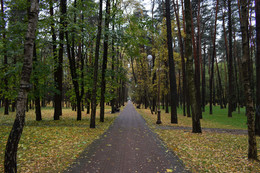 Осенними дорожками / Осень в городском парке