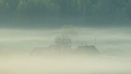 .. туманное .. / туманное утро в деревне.