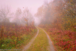 Осенняя дорожка / Осень,дорога,туман...