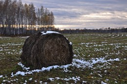 Стог сена на вечернем закате / Первомайский район,Томская область