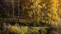 Золотая осень. / Осень.