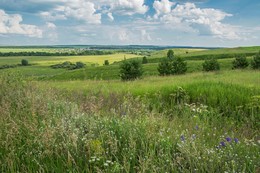 &nbsp; / за деревней Камаево,Татарстан