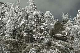 Припорошило... / В лесу на природе.