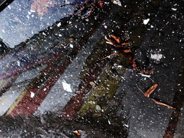 Осень на асфальте / 2017-10-16-054-C180g-052(83)