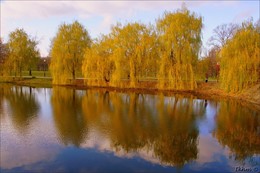Краски ноября / Осень у Новодевичьего пруда