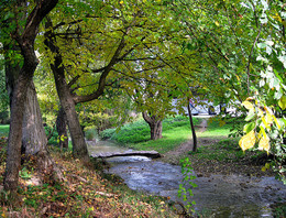 Ручей / Осень, мостик через ручей
