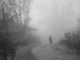 про туман / осень ноябрь