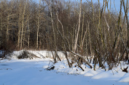 Зимний денек / Зимой на речке