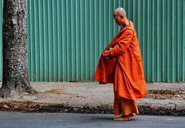 Дорогу осилит идущий / Вьетнам.