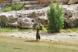 Дорогу осилит идущий / Оман.Вади.
Вади принято называть то, что соединяет пересыхающие русла рек между гор. В Омане можно найти много подобных природных явлений, но Вади Бани Ауф на сегодняшний день является самым разнообразным.